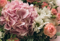 Nike giới thiệu giày đá bóng băng dán độc đáo